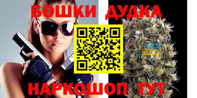 прущие грибы Краснокаменск