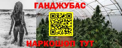jwh Кингисепп