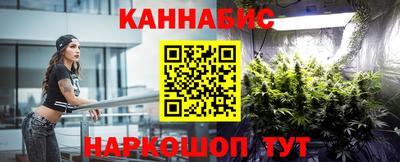 jwh Кингисепп