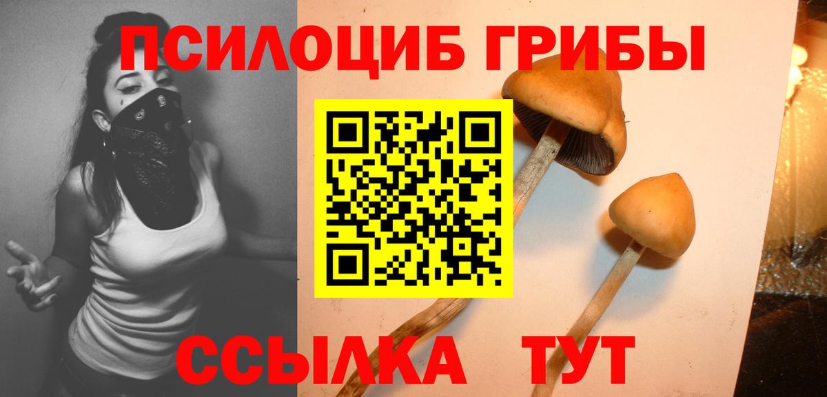 Псилоцибиновые грибы ЛСД  Вход с VPN  Усть-Илимск  Галлюциногенные грибы Cubensis 